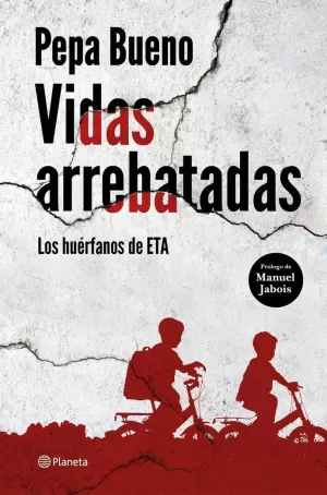 VIDAS ARREBATADAS VIDAS ARREBATADAS