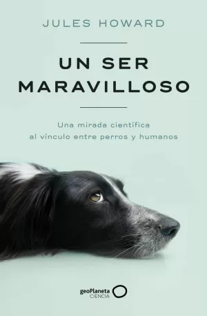 UN SER MARAVILLOSO UN SER MARAVILLOSO