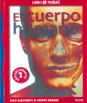 EL CUERPO HUMANO EL CUERPO HUMANO