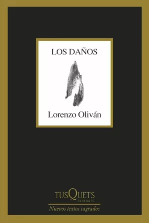 LOS DAÑOS LOS DAÑOS