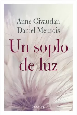 UN SOPLO DE LUZ UN SOPLO DE LUZ