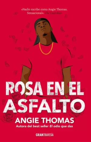 ROSA EN EL ASFALTO ROSA EN EL ASFALTO