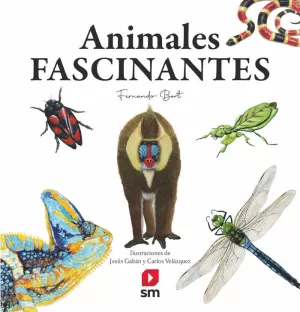 ANIMALES FASCINANTES ANIMALES FASCINANTES