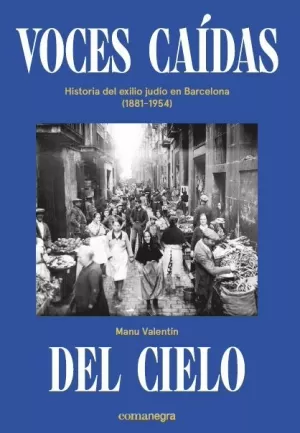 VOCES CAÍDAS DEL CIELO VOCES CAÍDAS DEL CIELO