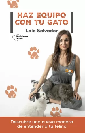 HAZ EQUIPO CON TU GATO HAZ EQUIPO CON TU GATO