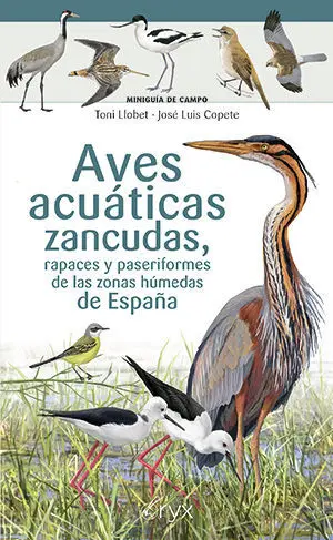 AVES ACUATICAS ZANCUDAS, RAPACES Y PASERIFORMES DE LAS ZONAS HUMEDAS DE ESPAÑA AVES ACUATICAS ZANCUDAS, RAPACES Y PASERIFORMES DE LAS ZONAS HUMEDAS DE ESPAÑA
