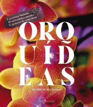 ORQUÍDEAS ORQUÍDEAS
