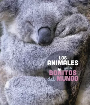 LOS ANIMALES MÁS BONITOS DEL MUNDO LOS ANIMALES MÁS BONITOS DEL MUNDO