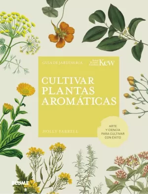 CULTIVAR PLANTAS AROMÁTICAS CULTIVAR PLANTAS AROMÁTICAS