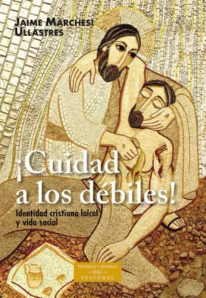 ¡CUIDAD A LOS DÉBILES! IDENTIDAD CRISTIANA LAICAL Y VIDA SOCIAL ¡CUIDAD A LOS DÉBILES! IDENTIDAD CRISTIANA LAICAL Y VIDA SOCIAL