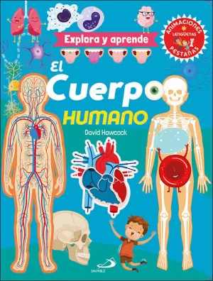 EL CUERPO HUMANO EL CUERPO HUMANO
