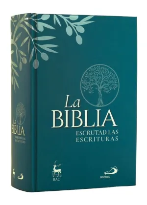 (CROMO) LA BIBLIA. ESCRUTAD LAS ESCRITURAS