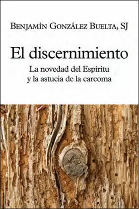 DISCERNIMIENTO, EL DISCERNIMIENTO, EL