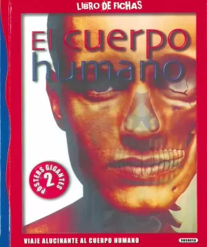 EL CUERPO HUMANO