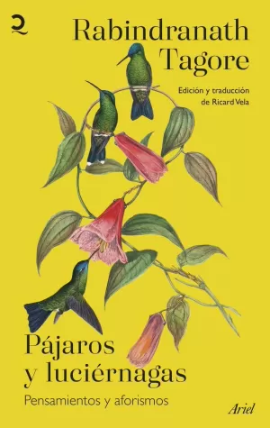 PÁJAROS Y LUCIÉRNAGAS PÁJAROS Y LUCIÉRNAGAS