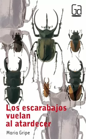 LOS ESCARABAJOS VUELAN AL ATARDECER LOS ESCARABAJOS VUELAN AL ATARDECER