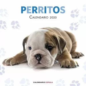 CALENDARIO PERRITOS 2020 CALENDARIO PERRITOS 2020