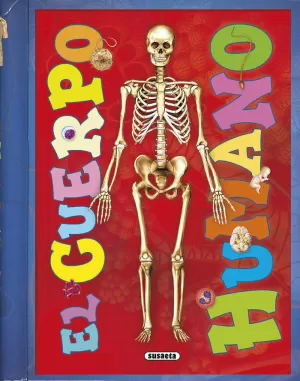 EL CUERPO HUMANO EL CUERPO HUMANO