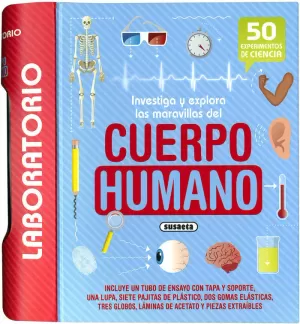 CUERPO HUMANO CUERPO HUMANO