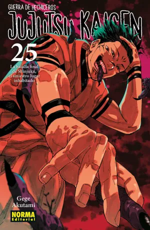 JUJUTSU KAISEN 25 JUJUTSU KAISEN 25