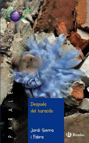 DESPUÉS DEL HURACÁN DESPUÉS DEL HURACÁN