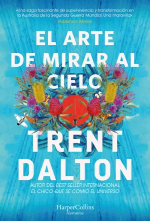 EL ARTE DE MIRAR AL CIELO EL ARTE DE MIRAR AL CIELO