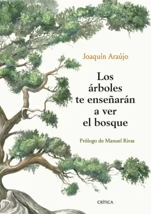 LOS ÁRBOLES TE ENSEÑARÁN A VER EL BOSQUE LOS ÁRBOLES TE ENSEÑARÁN A VER EL BOSQUE
