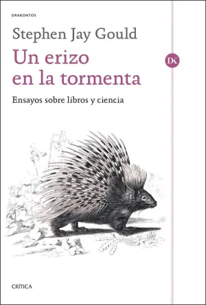 UN ERIZO EN LA TORMENTA