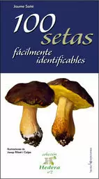 100 SETAS FÁCILMENTE IDENTIFICABLES