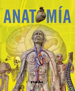 ANATOMIA ANATOMIA