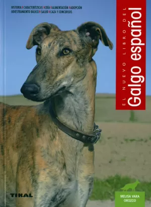 EL GALGO ESPAÑOL EL GALGO ESPAÑOL